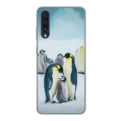 Produktbild von MuchoWow® Handyhülle Schutzhülle Hülle für Samsung Galaxy A30s Kaiserpinguin-Küken wird gefüttert Silikon Softcase Handy Hülle - Karteninhaber