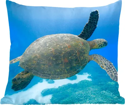Produktbild von MuchoWow® Zierkissen Sofakissen Wohnzimmer Dekokissen 45x45 cm Grüne schwimmende Schildkröte Fotodruck - Schlafpolster - Polster für das Sofa