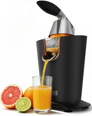 Elektrische Citruspresse 600W RVS mit Hebelarm, 400 ml