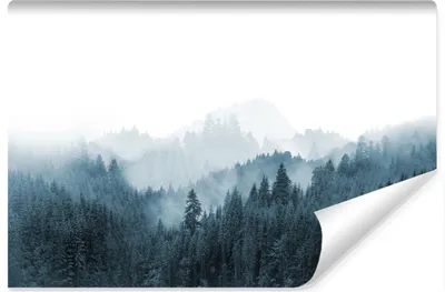 Produktbild von Muralo Vlies Fototapete WALD IM NEBEL Bäume Natur Landschaft 3D 400 cm x 280 cm