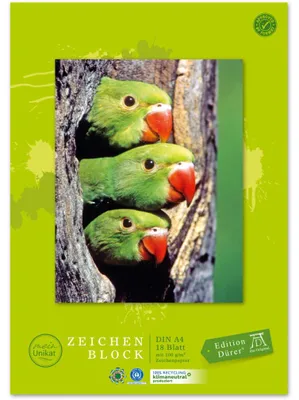 Produktbild von Zeichenblock Green A4 100 g/qm 18 Blatt