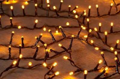 Produktbild von Weihnachtsbeleuchtung dimmbar mit Timerfunktion 16x20x27cm, Modell Led Classic Ivy 2000L42M