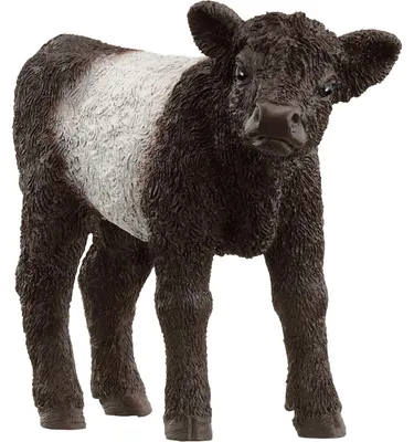 Immagine prodotto di Vitello Schleich Farm World Galloway 13969