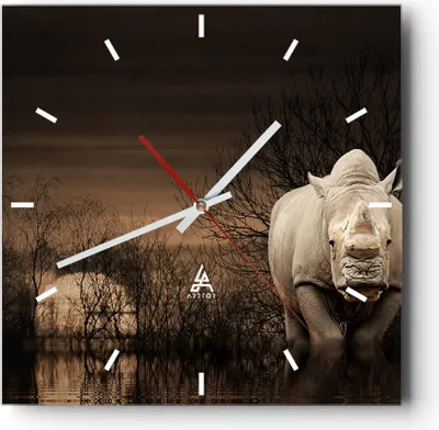 Produktbild von Wanduhr - Quadrat - Glasuhr - Tier Nashörner Insekten - 30x30cm - Schleichendes Uhrwerk - Lautlos - zum Aufhängen bereit - Dekoration Modern - Wanddekoration aus Glas - C3AC30x30-0307
