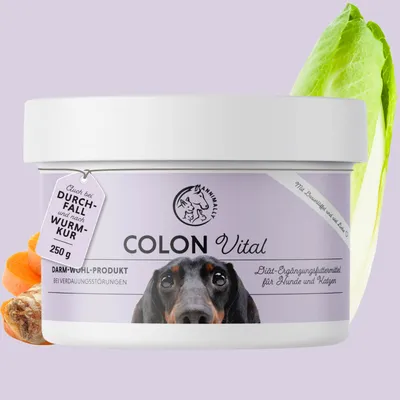 Produktbild von Colon Vital 250 g - Darmsanierung Hund nach Wurmkur, Giardien, Antibiotika oder Magen-Darm-Infekten - Darmkur Hund - Darmflora aufbauen Hund