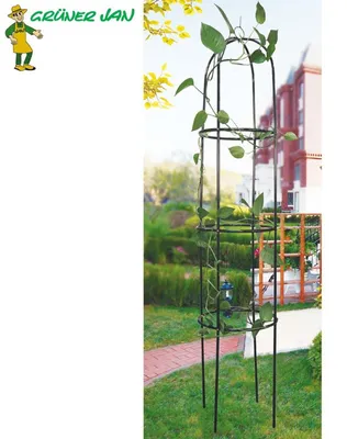 Image de Rankobelisk en métal 200cm Support pour plantes grimpantes Grille pour fleurs Colonne pour rosiers Colonne pour plantes grimpantes