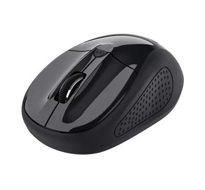 Immagine prodotto di TRUST Trust 24658 mouse da ufficio ambidestro RF ottico senza fili 1600 DPI