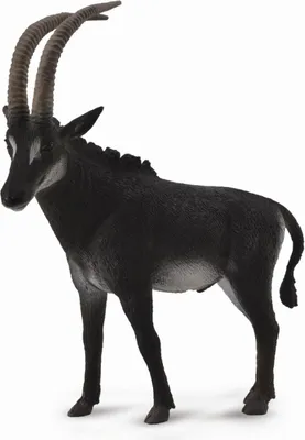 Produktbild von Collecta 88564 Rappenantilope Männchen 10 cm Wildtiere
