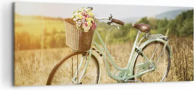 Produktbild von Bild auf Leinwand - Leinwandbild - Einteilig - Fahrrad Wiese Blumen - 100x40cm - Wand Bild - Wanddeko - Wandbilder - Leinwanddruck - Bilder - Wanddekoration - Leinwand bilder - AB100x40-4206