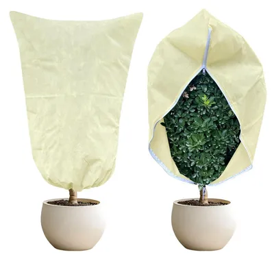 Image de Protection hivernale pour plantes, dimensions 120x180 cm, tissu non tissé de 85 g/m² avec fermeture éclair