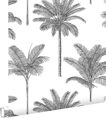 Immagine prodotto di ESTAhome carta da parati palme bianco e nero 53 cm x 10.05 m