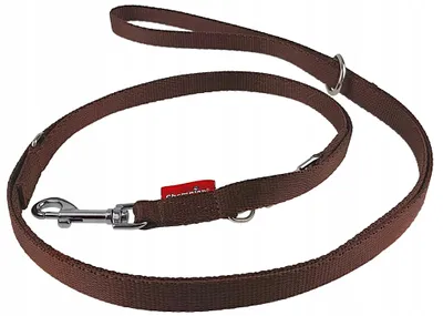 Image de Champion Laisse Chien Sangle Réglable Marron 225 cm