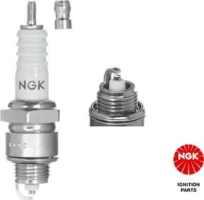Obrázek produktu pro Zapalovací svíčka NGK BM6F [6221] Standardní