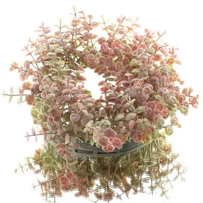 Produktbild von GASPER Eucalyptuskranz Altrosa & Grün Ø 28 cm - Kunstblumen