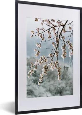 Produktbild von MuchoWow® MuchoWow® Gerahmtes Poster Kirschblüte - Gefroren - Zweig 40x60 cm - Poster mit zchwarzem Bilderrahmen - Poster in Rahmen