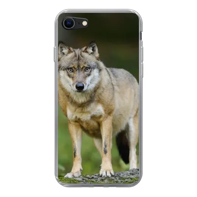 Produktbild von MuchoWow® Handyhülle Schutzhülle Hülle für iPhone SE 2020 Wolf - Asien - Pflanzen Silikon Softcase Handy Hülle - Kartenbesitzer