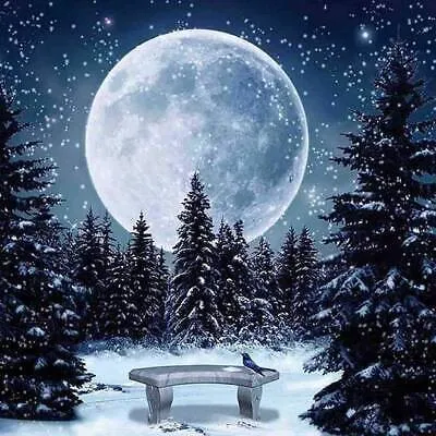 Obrázek produktu pro 40x30 Diamantová malba pro vlastní tvorbu DIY Diamond Painting Wintermond