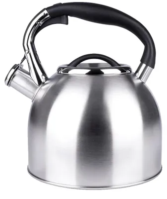 Obrázok produktu pre Rýchlovarná kanvica, konštrukcia z nehrdzavejúcej ocele, automatické pípnutie, strieborná, 1–2 l