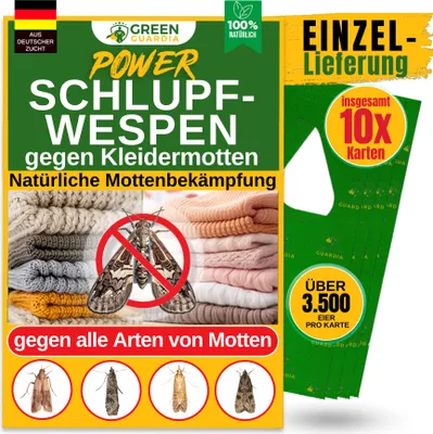 Produktbild von Schlupfwespen gegen Kleidermotten, 10 Karten x 1 Lieferung, Green Guardia -der  Mottenschutz, Alternativ zu: Mottenfalle, Mottenkugel, Klebefalle