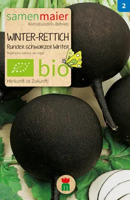 Artikelbild 1 von 'BIO Winter-Rettich Runder schwarzer' aus der Kategorie Rettichsamen
