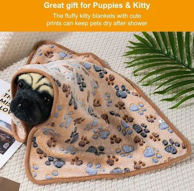Image de Couverture pour chat domestique, douce et lavable, 76 x 53 cm