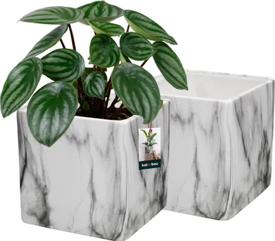 Zdjęcie produktu dla KOTARBAU® Zestaw 2 doniczek ceramicznych kwadrat 12 x 12 cm marmurowa matowa doniczka ceramiczna do roślin domowych doniczka nowoczesny marmurowy wygląd małe doniczki doniczka ceramiczna doniczka do orchidei K