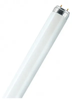 Image de Lampe T5 FH 35 Watt 840 HE - Osram