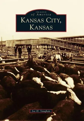 Produktbild von Kansas City, Kansas