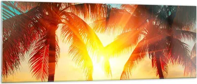 Produktbild von Bilder auf glas - Meer Palme Wasser - 140x50cm - Glasbilder - Wandbilder - Kunstdruck - zum Aufhängen bereit - Wanddekoration aus Glas - Glas Bilder - Wandbild auf Glas - Einteilig - GAB140x50-4018