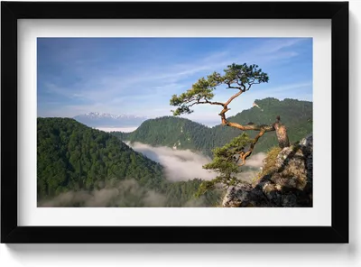 Produktbild von Sokolica-Gipfel im Pieniny-Gebirge– Wandbild mit Rahmen – Gerahmtes Bild  – Wanddekoration – 30x20 cm –  Schwarz Rahmen
