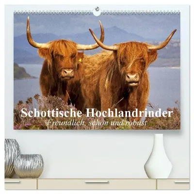 Produktbild von Schottische Hochlandrinder. Freundlich, schön und robust (hochwertiger Premium Wandkalender 2026 DIN A2 quer), Kunstdruck in Hochglanz