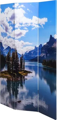 Immagine prodotto di Schermo fotografico HWC-A83, schermo divisorio per ambienti,  MVG ~ 180x121cm Lago
