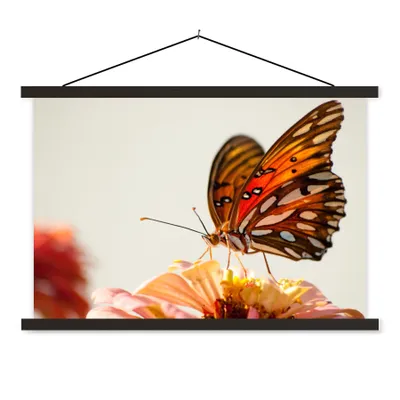 Produktbild von MuchoWow® Textilposter Schmetterling - Orange - Blume - Insekten 90x60 cm mit schwarzem Rahmen - Aufhängungssatz