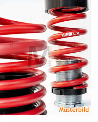 Immagine prodotto di Molle di abbassamento come set con abbassamento di 40 mm Set di molle asse anteriore, asse posteriore