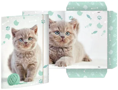 Produktbild von RNK Verlag Zeichnungsmappe "Kitty" Karton DIN A3