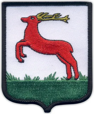 Produktbild von Patchion Coat of arms of the City of Pila - MERROW Border - Magnetic Backing - Embroidered Patch/Badge/Emblem