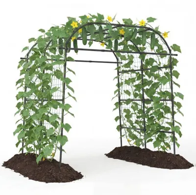 Produktbild von Gartenspalierbogen, U-förmig, PE-beschichtetes Metall, Schwarz