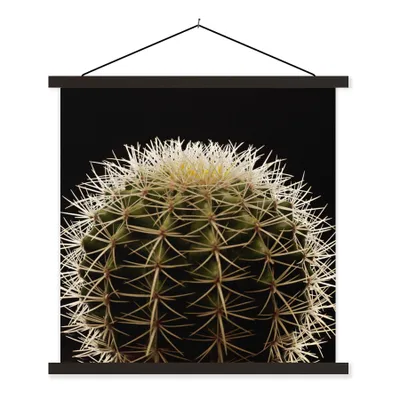 Produktbild von MuchoWow® Textilposter Eine Nahaufnahme eines dornigen Kaktus auf schwarzem Hintergrund 90x90 cm mit schwarzem Rahmen - Magnetisches