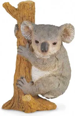 Produktbild von Collecta - Koala - Trepando -M- 88356 (90188356) COLECTA