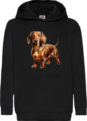 Zdjęcie produktu dla Dziecięca Bluza Z Kapturem Dogs Breeds Dachshund Dog Breed 007, 12-13 Jahr - 152 / Czarny
