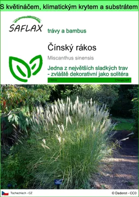 Obrázek produktu pro SAFLAX Garden to go - Čínský rákos - Miscanthus sinensis - 200 Semena - S květináčem, klimatickou poklicí a pěstebním substrátem