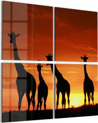 Produktbild von DEQORI Glasbild Echtglas 4x50x50 cm 'Abend in der Savanne' Wandbilder XXL groß