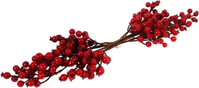 Produktbild von Dekorative Girlande mit roten Ebereschenbeeren, 55 cm