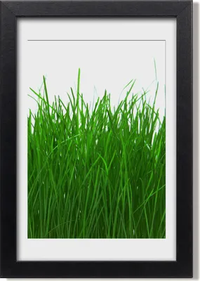 Produktbild von Bild 20x30 MDF-Rahmen, Wandkunst Gras