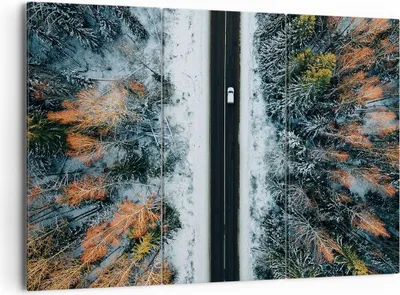 Produktbild von Bild auf Leinwand - Leinwandbild - 3 Teile - Wald Weg Schnee - 165x110cm - Wand Bild - Wanddeko - Wandbilder - Leinwanddruck - Bilder - Wanddekoration - Leinwand bilder - Wandbild - CE165x110-4654