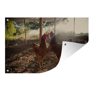 Obrázek produktu pro MuchoWow® Zahradní plakáty - Dvě kuřata ve výběhu - 120x180 cm - Zahradní dekorace