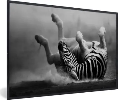 Produktbild von MuchoWow® Gerahmtes Poster Zebra - Tiere - Schwarz - Weiß 90x60 cm - Poster mit Schwarzem Bilderrahmen Wandposter Rahmen Foto Bilder - Fotorahmen - Foto-Plakat