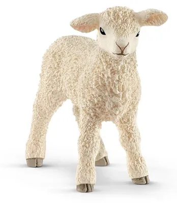 Produktbild von Schleich Lamm, 13883