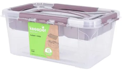 Aufbewahrungsbox 4,2 l mit Deckel und Griff, 29x19x12,4 cm
