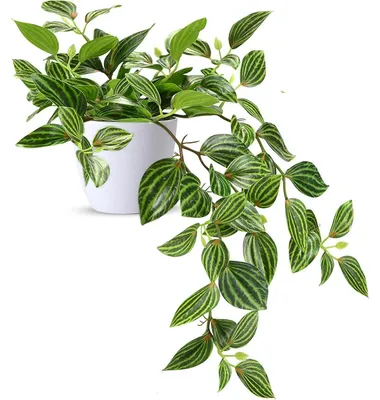Obrázek produktu pro Umělá rostlina, výška 38 cm, bílý květináč, průměr 10 cm, dekorace do obývacího pokoje, na balkon, na stůl, 1 kus
